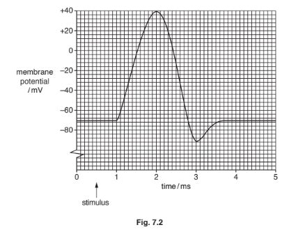 Action Potential Graph 的图像结果