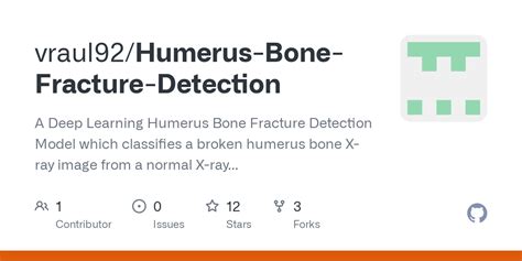 Bone Fracture Detection Using Image Processing Source Code GitHub 的图像结果