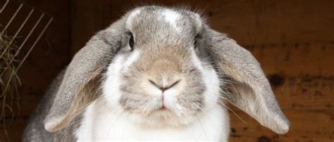 Image result for Python Windows GUI