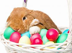 Image result for Cute Floral Easter Backgrounds with Bunnies