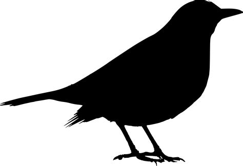 Free Bird Silhouette, Download Free Bird Silhouette png images, Free ClipArts on Clipart Library