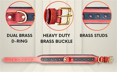 Buy Bruby Premium Leather Dog Collar with Soft Padding and Brass Studs ...