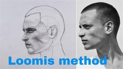 Loomis Method Tutorial 的图像结果