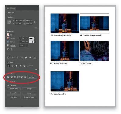 Image result for InDesign Graphics Settings