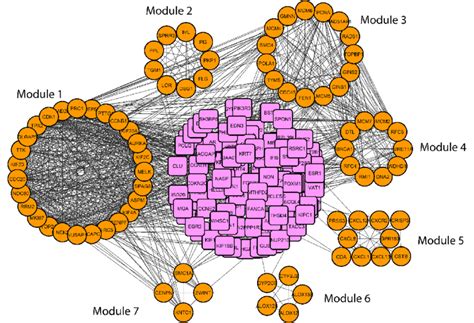 Image result for Mcode Tutorial Cytoscape
