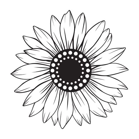 sunflower line art, sunflower line drawing, floral line drawing ...