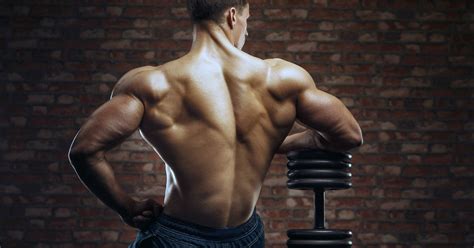 The 10 Best Back Stretching Exercises – Fitness Volt