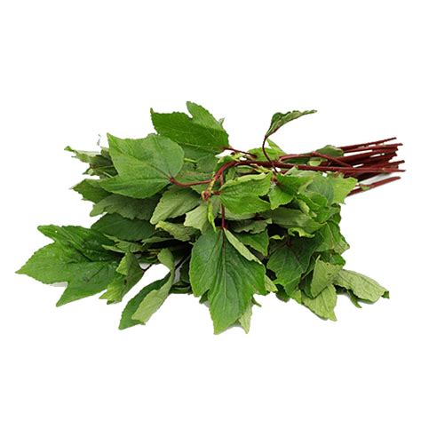 100% Organic Green Leaves | Nutritious Soppu Greens