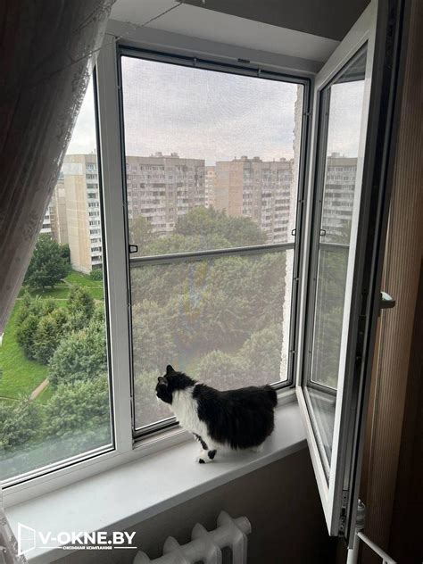 Антикошка москитная сетка на окна, купить антикот Pet Screen Минск