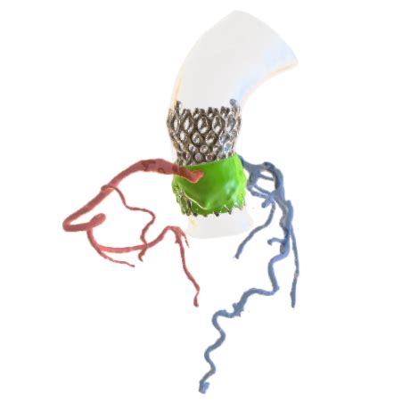 p3d.in - adrianaz94's lair