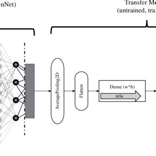 Image result for Include Data Augmentation Part in Transfer Learning of a Classification Model