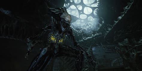 Image result for Alien Xenomorph Life Cycle