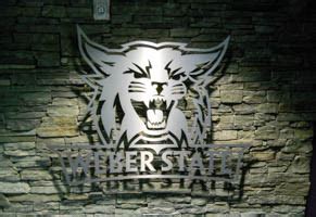 Weber State University Ice Sheet - TEC-Electric