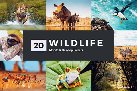 17+ Lightroom Wildlife Presets Set