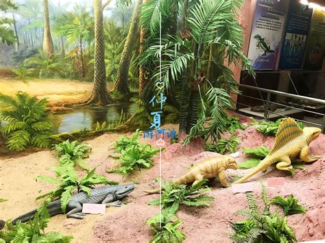 【参观诸城恐龙博物馆摄影图片】生态摄影_太平洋电脑网摄影部落