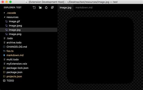 Image result for Exsption vs Code Open HTML