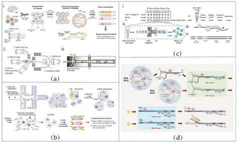 Microfluidics Facilitates the Development of Single-Cell RNA Sequencing