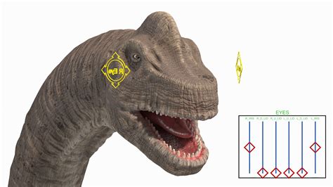 3D Brachiosaurus Altithorax Rigged | 3D Molier International