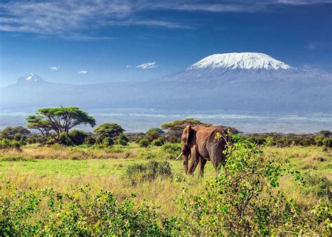 Visit Mount Kilimanjaro on a trip to Tanzania | Audley Travel UK