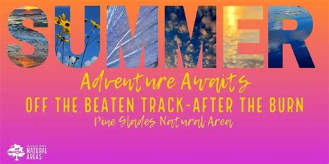 Adventure Awaits - Off The Beaten Track-Explore after the Burn, Pine ...
