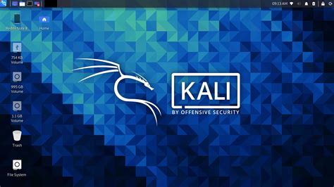 Image result for Kali Linux Persistent USB