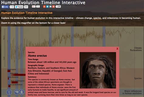 Image result for First Humans Timeline