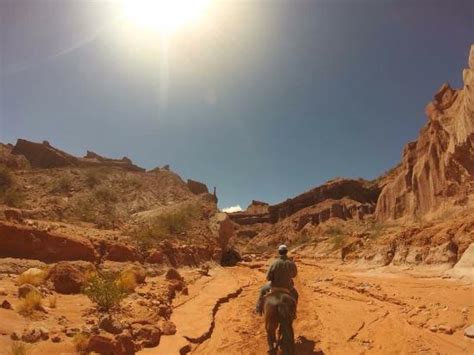 Parador de la Quebrada (Cafayate) - 2022 What to Know Before You Go ...