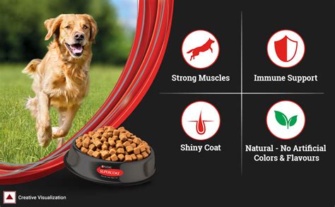 PURINA SUPERCOAT Adult Dry Dog Food, 1+ Years, 2kg + 0.5 kg Free Bag ...