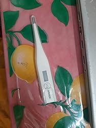 Omron Glass Mc 246 Digital Thermometer With Quick Measurement Of Oral ...