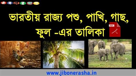 List Of State Animals, Birds, Trees and Flowers of India in pdf|ভারতীয় ...