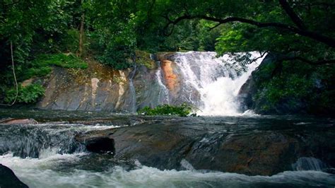Dhoni and Dhoni Waterfalls | Nature and Wildlife in Palakkad | Malabar ...
