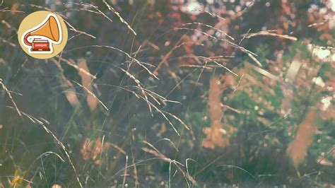 Image result for Soundscape Music