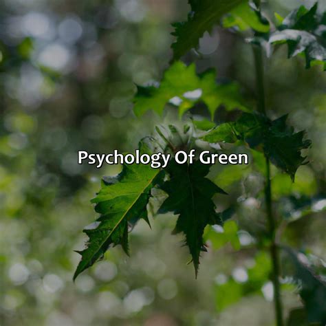 What Does The Color Green Mean - colorscombo.com