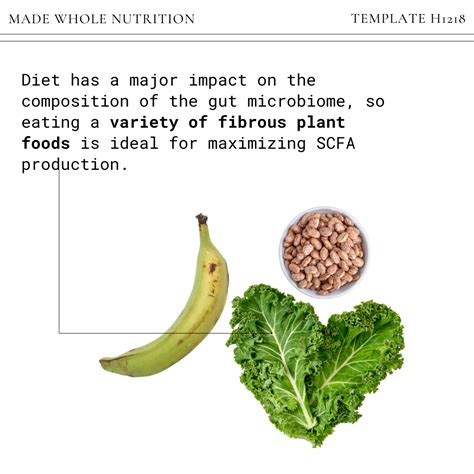 BUTYRATE FOR GUT HEALTH (what it is & how to promote production) — Functional Health Research ...