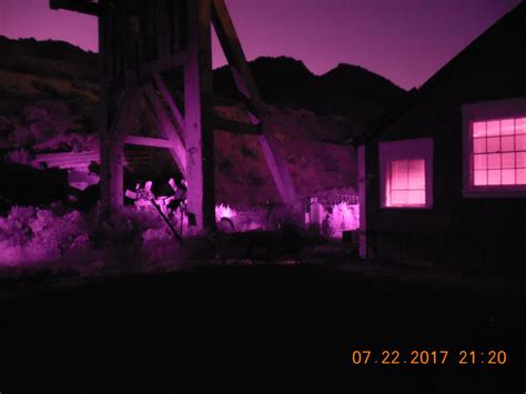 Image result for Alien Movie Bush Edit