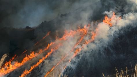 Deforestación e impunidad atizan los incendios amazónicos en Brasil