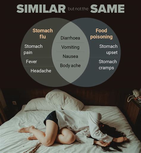 Stomach flu vs food poisoning | Happiest Health