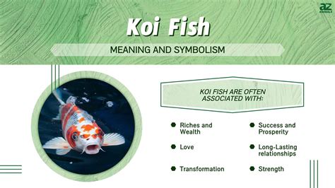 Discover the Powerful Meaning and Symbolism of Koi Fish - A-Z Animals