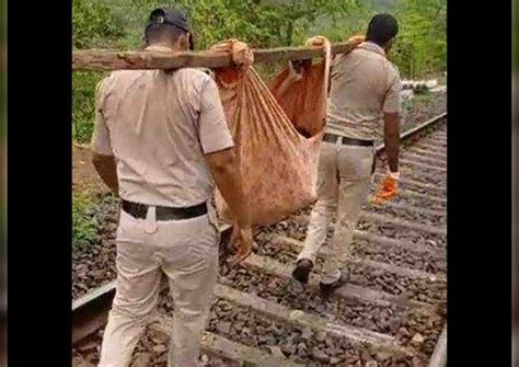 Maharashtra: Cops walk 4 km carrying injured woman on makeshift stretcher