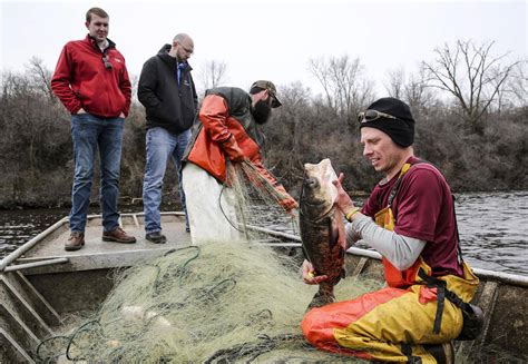 Chicago joins Great Lakes Basin Partnership to Block Asian Carp – Shaw ...