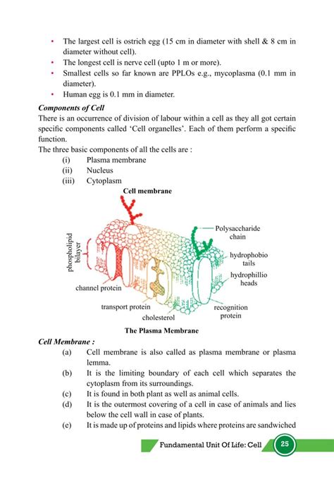 Image result for Class 9th Science Chapter 5 Cell Explanation