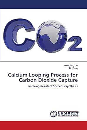 Calcium Looping Process for Carbon Dioxide Capture : Liu, Wenqiang ...