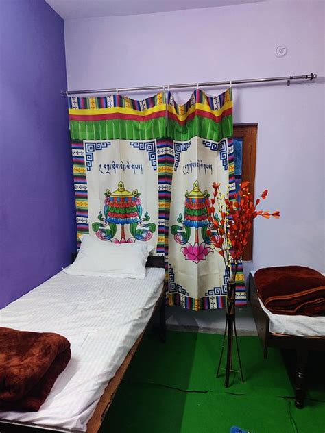 KARERI KOMMUNE THE LAST HOUSE - Hostel Reviews, Photos, Rate Comparison ...