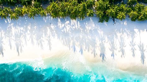 Wallpaper sea, beach, aerial view, water, sand, palm trees hd, picture ...