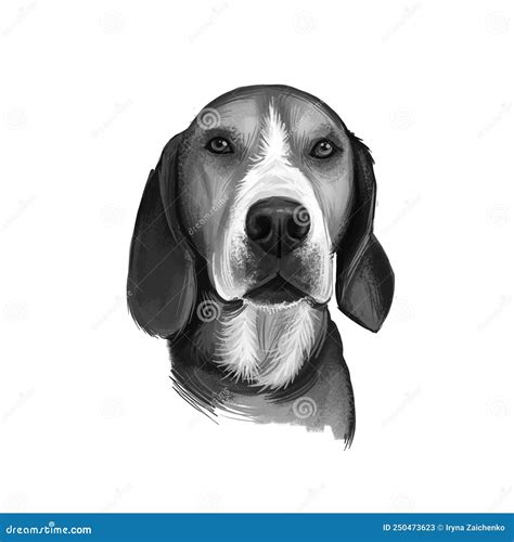 Hamiltonstovare, Hamilton Hound, Swedish Foxhound, Hamilton Dog Digital Art Illustration ...