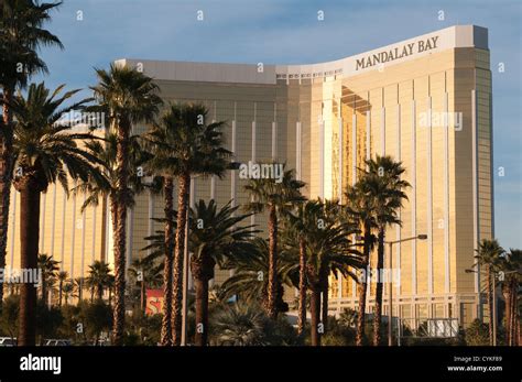Mandalay Bay Resort and Casino | Beach Hotel on the Las Vegas Strip