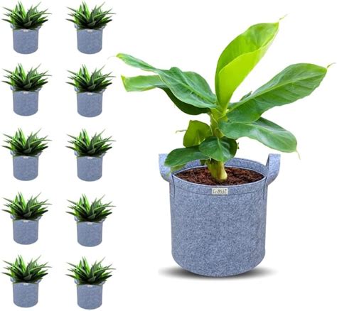 FREDDO-Grow Bags Pots with Handles Heavy Duty 400 GSM Non Woven Fabric ...