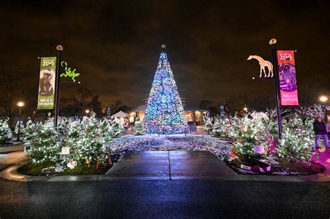 Holiday Magic lights up Brookfield Zoo - Forest Park Review