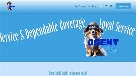 Insurance Agent Website 的图像结果