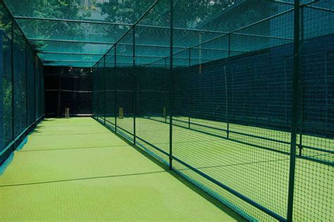 Bird Net & Bird Spikes Installation Services In Ahmedabad
